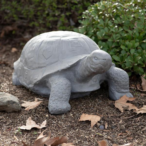 gray_turtle COPIAPOA 羅本製所 OZWRT gray_turtle COPIAPOA 羅本製所