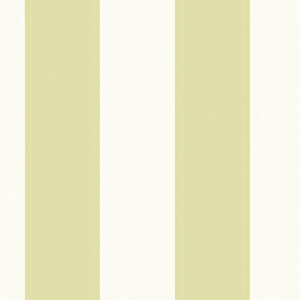 The Wallpaper Company 8 in. x 10 in. Green and White Extensive Stripe Wallpaper Sample