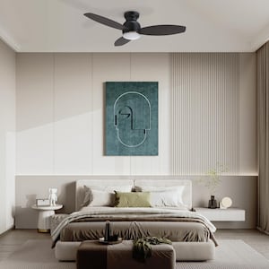 Arran 48 in. Color Changing Integrated LED Indoor Matte Black 10-Speed DC Ceiling Fan with Light Kit and Remote Control