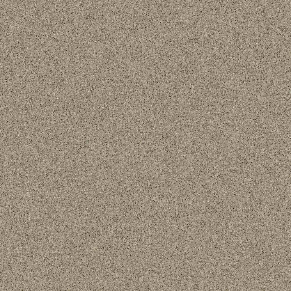 Wilshore Sand Brown 23 oz. Polyester Texture Full Roll Carpet (1,800 sq. ft. /Roll) price history on PriceWatchPro