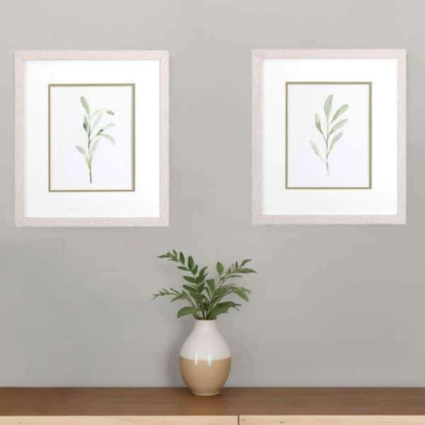 2-Piece Framed Graphic Print Plants & Flowers 16.00 in. x 14.00 in.