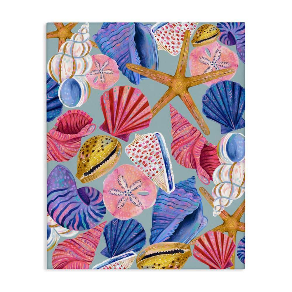 Bright Seashells Assortment by Arrolynn Weiderhold Unframed Coastal Graphic Art Print 20 in. x 16 in. price history on PriceWatchPro