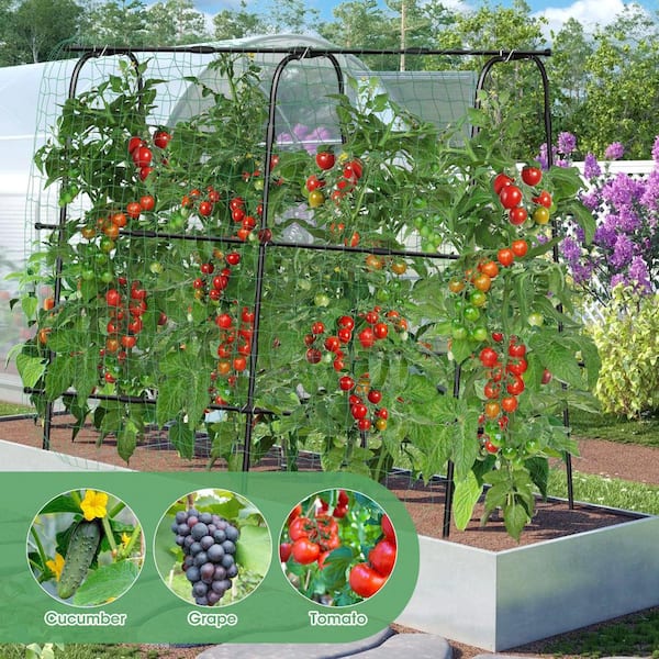 SenQWFa 63 in. Metal U-Shaped Arch Garden Trellis with Nylon