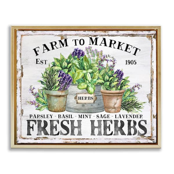 Stupell Industries Farmhouse Fresh Herbs by Creatif Belle Gold Floater Frame Nature Graphic Art Print 25 in. x 31 in.