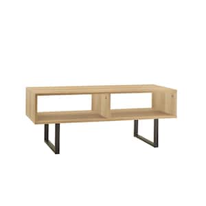 Mixed Material Storage Furniture 39.5 in W x 15.8 in. D Natural Coffee Table with Decorative Shelf