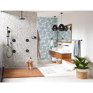 5-Spray 30 in. Eco-Performance Wall Bar with Handheld Shower in Matte Black