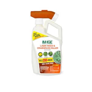 32 oz. 4,000 sq. ft. Lawn Weed and Crabgrass Killer Ready-To-Spray for 200-Plus Weed Types