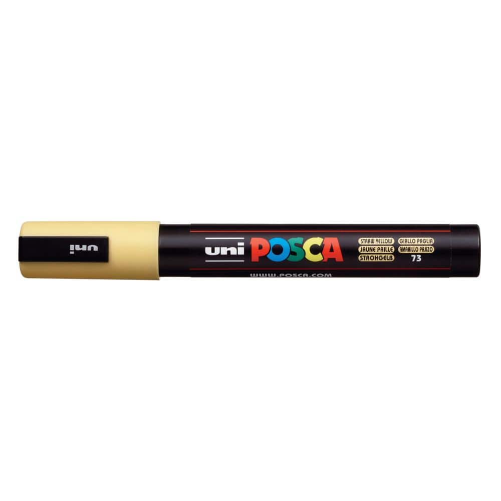 Wholesale Ultimate Posca Marker Set with Case