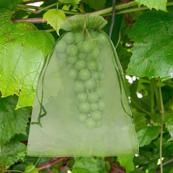 Breathable Polyester, 100-Pieces, Double Drawstring, Reusable, 6.5 x 9 in. Fruit Protection Garden Bag Set Fruit Baskets