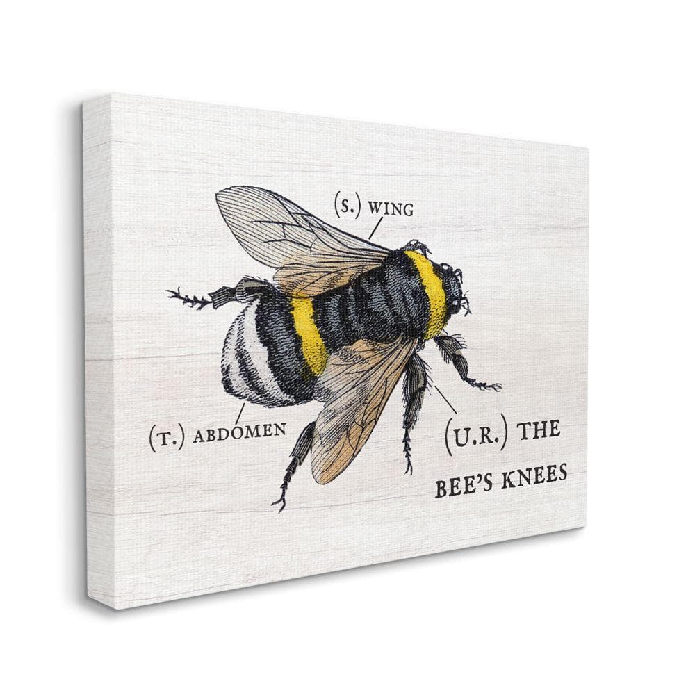 The Stupell Home Decor Collection Anatomy of Honey Bee Pun Charming Bee's  Knees by Daphne Polselli Floater Frame Animal Wall Art Print 17 in. x 21  in. ac-252_ffb_16x20 - The Home Depot