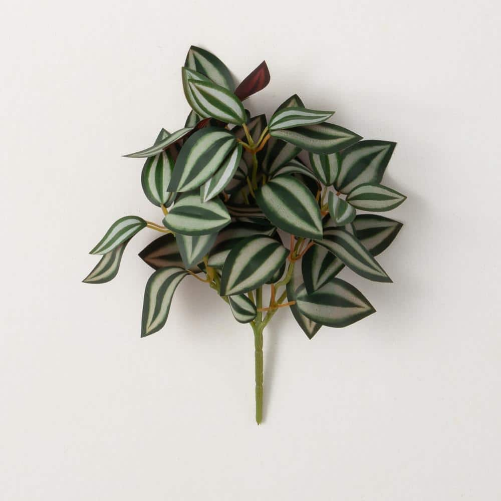 sullivans-11-tradescantia-inch-plant-branch-green-02803pt-the-home