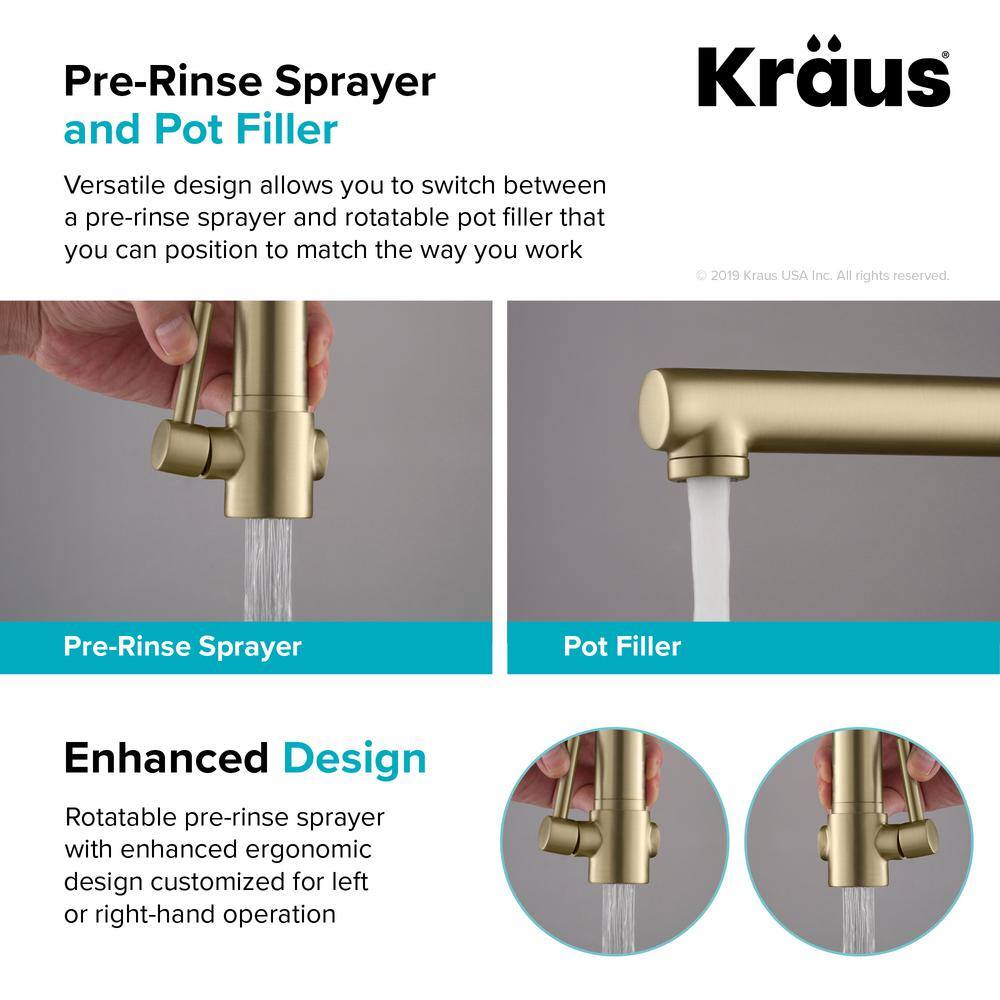 Black Stainless Steel and Brushed Gold Commercial Kitchen Faucet with Pull-Out Spray