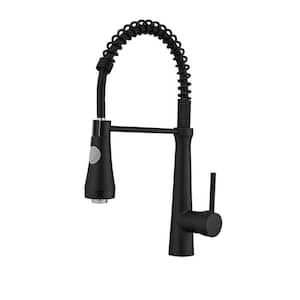 Single-Handle Pull-Down Sprayer Kitchen Faucet with Deck Plate in Matte Black