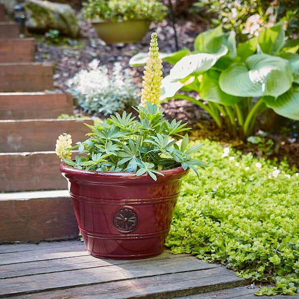 Modesto Large 15.25 in. x 10.5 in. 17 Qt. Oxblood Resin Composite Planter