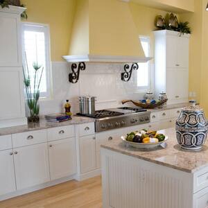 Newport Assembled 36x34.5x24 in Plywood Shaker Farm Sink Base Kitchen Cabinet Soft Close in Painted Pacific White
