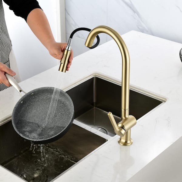 FLG Single Handle Pull Down Sprayer Kitchen Faucet with Advanced