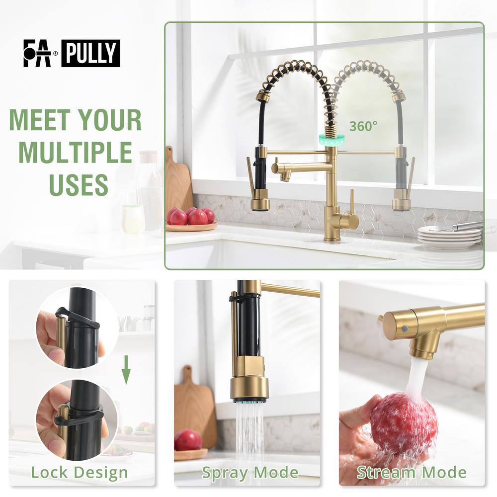 Brushed Gold Single Handle Pull-Down Kitchen Faucet with Sprayer