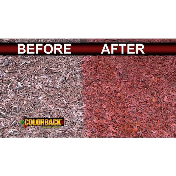 Mulch Worx Red Mulch Color Concentrate - Quart - Treats 2,800 Sq