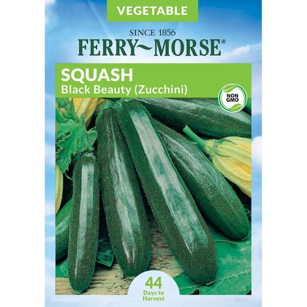 Ferry-Morse Squash Black Beauty Zucchini Fruit Seeds
