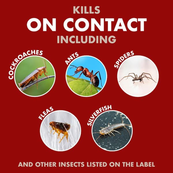 Spectracide 1 gal. Bug Stop Home Barrier Ready-To-Use Spray HG