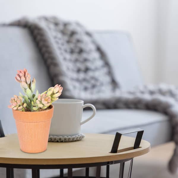 NATURAE DECOR ARTIFICIAL 7 in. SUCCULENT SEDUM IN TERRACOTTA POT