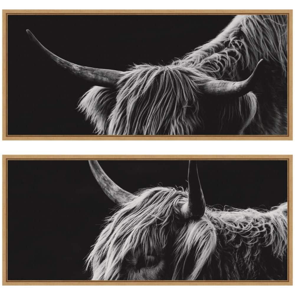 "2 Piece Sylvie ""Scottish Highland Panel"" by Crystal Lynn Collins Animal Framed Art Print Set 18 in. x 40 in." price history on PriceWatchPro