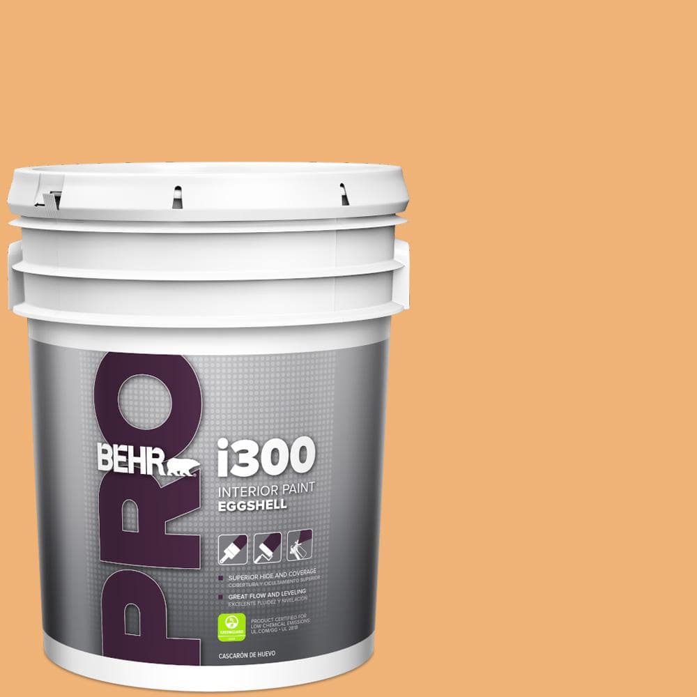 5 gal. #290D-4 Arizona Eggshell Interior Paint price history on PriceWatchPro