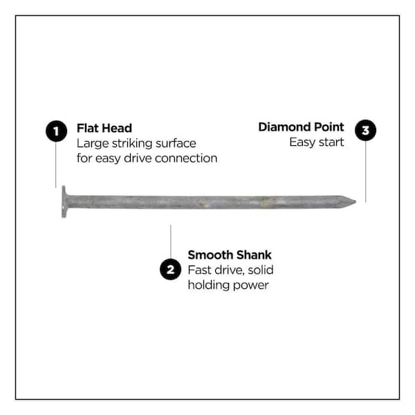 Pro-Fit 8D 2-1/2 in. Hot-Dipped Galvanized Nail Flat Head