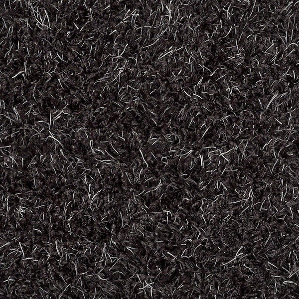 Platinum Plus Carpet Sample - Royal Step - In Color Magic Black 8 in. x 8 in.