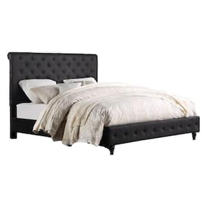 Clover Modern Black Queen Tufted Bed with Nailhead Trim