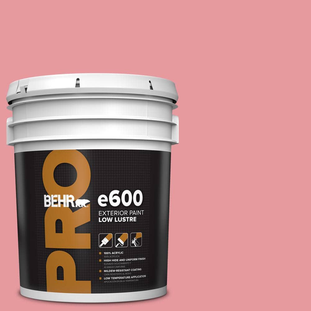 5 gal. #P160-3 All Dressed Up Low Luster Exterior Paint price history on PriceWatchPro