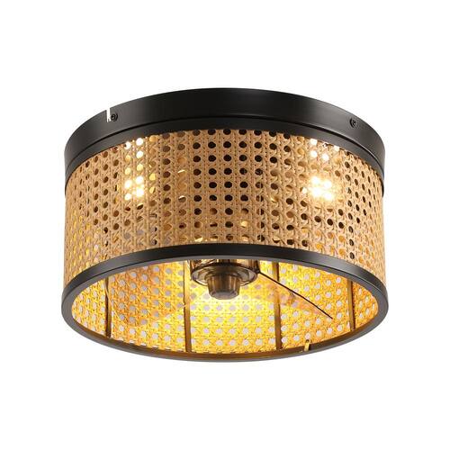 12.2 in. Indoor 3-Speeds Black Caged Ceiling Fan with Remote Control Ceiling Fans With Lights