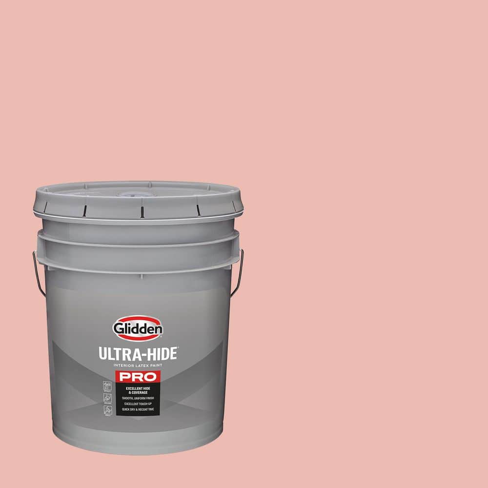 5 gal. PPG1064-4 Peach Beige Satin Interior Paint price history on PriceWatchPro