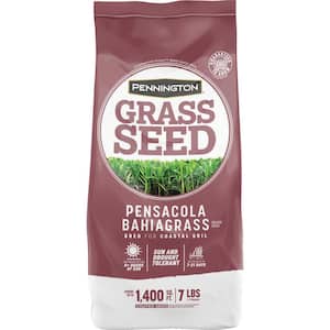 Pensacola Bahiagrass 7 lb. 1,400 sq. ft. Grass Seed