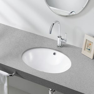 17.5 in. Oval Vitreous China Bathroom Sink in White