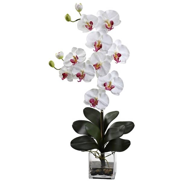 Nearly Natural Double Giant Artificial Phalaenopsis with Vase