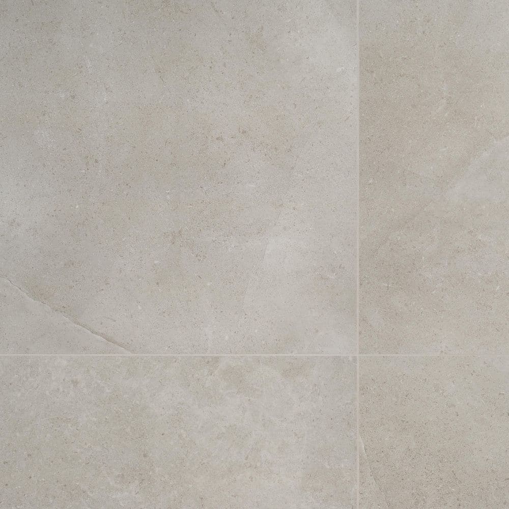 Large Format Light Gray Matte Porcelain Floor and Wall Tile