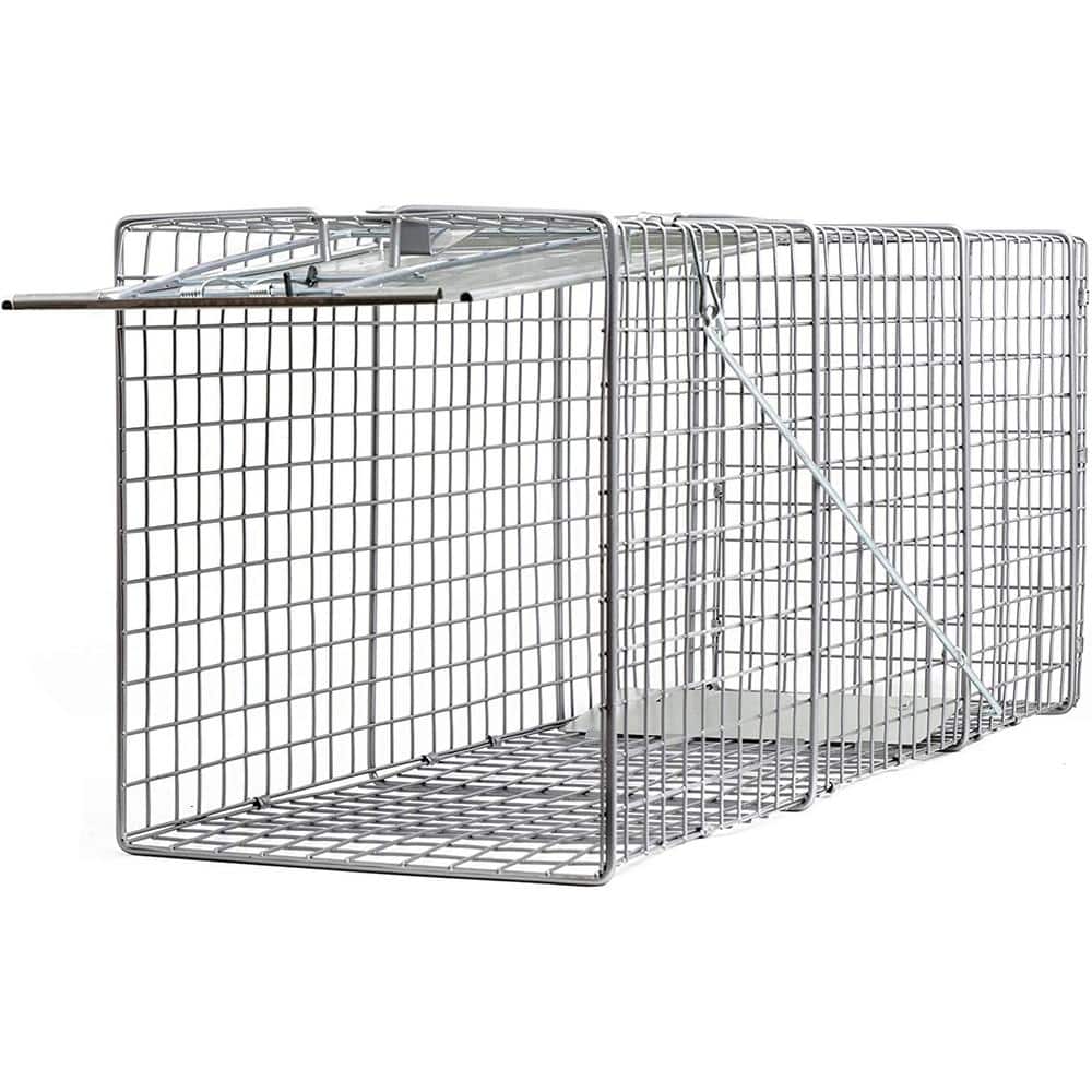 HOMESTEAD 2-Pack Live Animal Trap - Specialized for Raccoons, Opossums,  Groundhogs, Skunks, Feral Cats, Squirrels - Heavy Duty Steel Traps, 1-Door