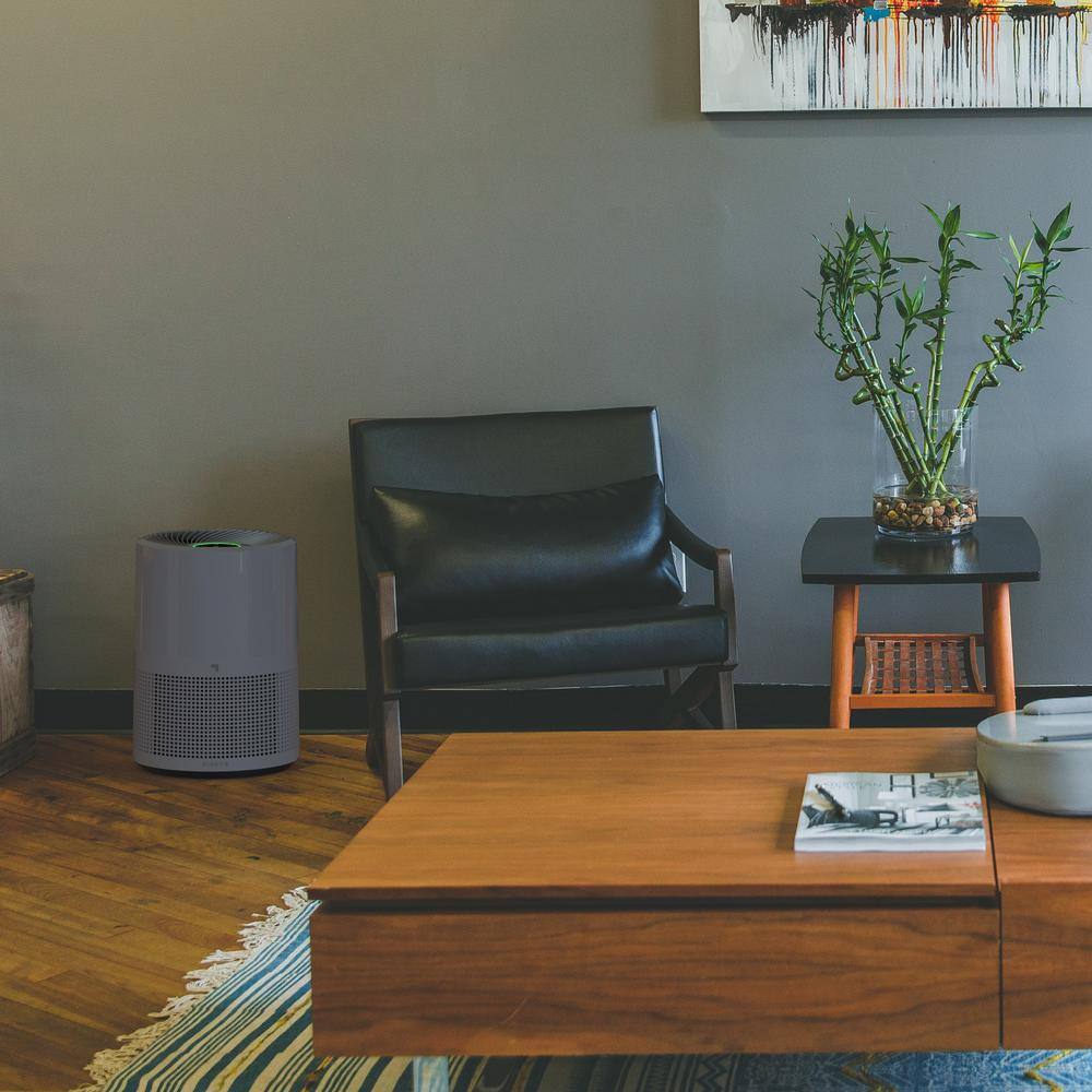 Gray HEPA Air Purifier with Odor Absorbing Filter