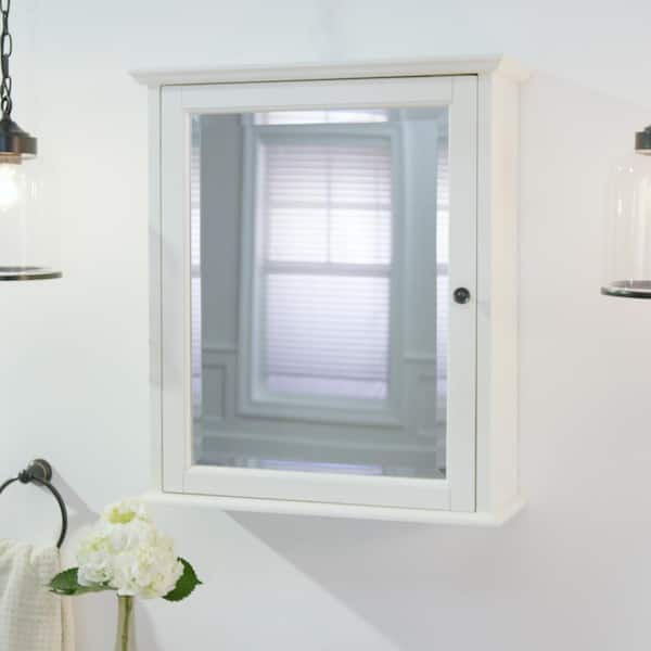 Hamilton 24 in. W x 27 in. H Rectangular Medicine Cabinet with Mirror