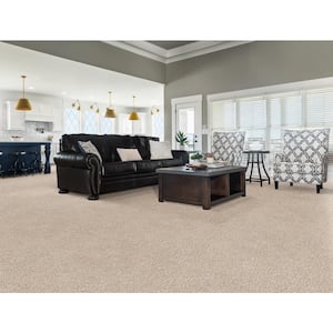Fluffy Expectations - Granola - Brown 56.2 oz. Nylon Texture Installed Carpet