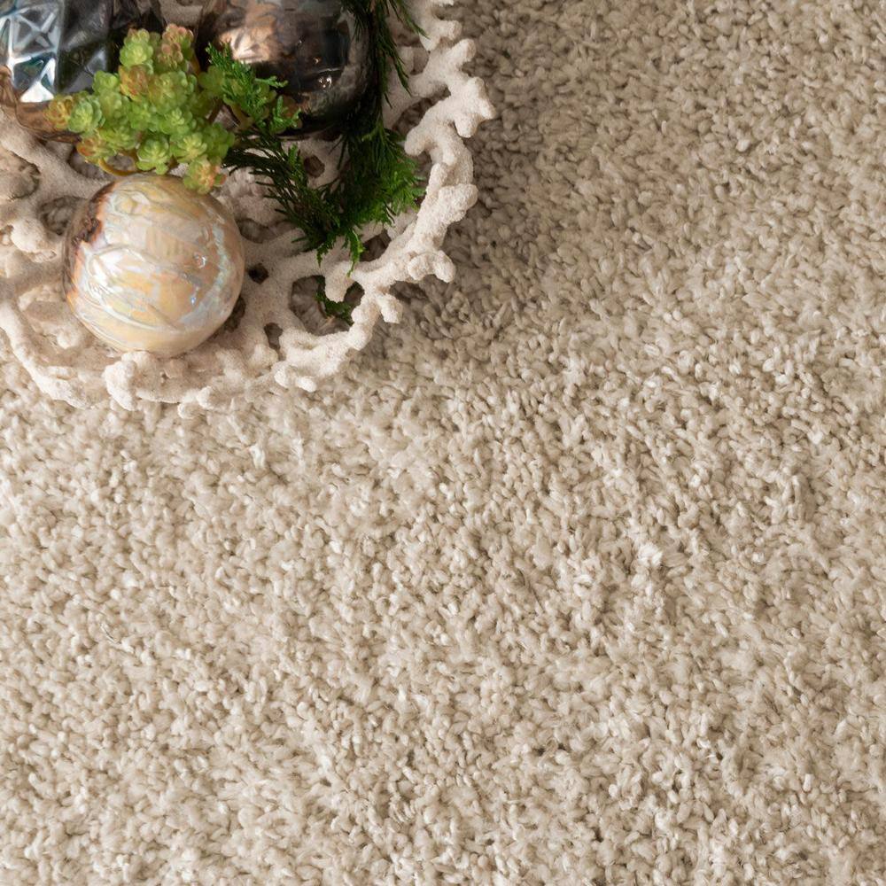 Cozy Beige Braided Tassel Shag Area Rug - Easy Care 3'x5'