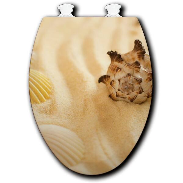 Unbranded Shells in. the Sand Elongated Closed Front Toilet Seat in White