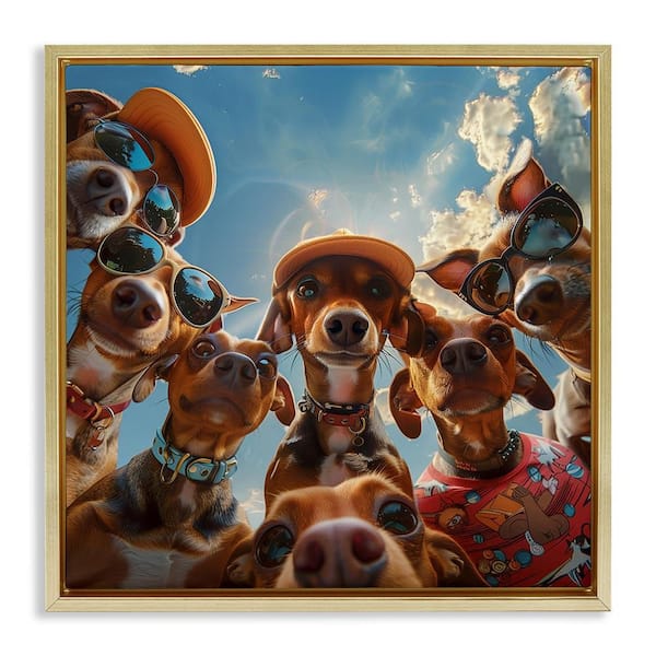 Stupell Industries Funny Wiener Dog Selfie by Jim Baldwin Gold Floater Frame Animal Graphic Art Print 25 in. x 25 in.