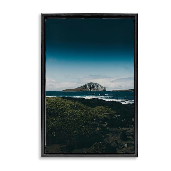 Stupell Industries Hawaiian Rocky Shore by Max Blakesberg Studios Black Floater Frame Nature Graphic Art Print 31 in. x 21 in.