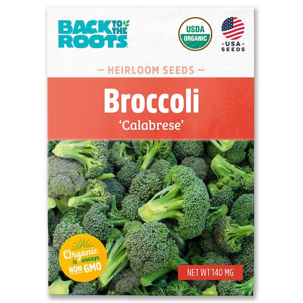 Organic Calabrese Broccoli Seed