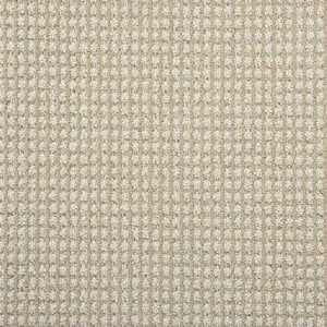6 in. x 6 in. Loop Carpet Sample - Shenadoah Stripe - Color Ivory/Plains