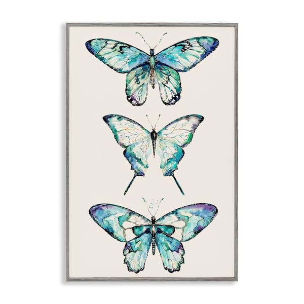 Stupell Industries Classic Butterfly Specimens by Christine Zalewski Gray Framed Animal Giclee Art Print 18 in. x 12 in.