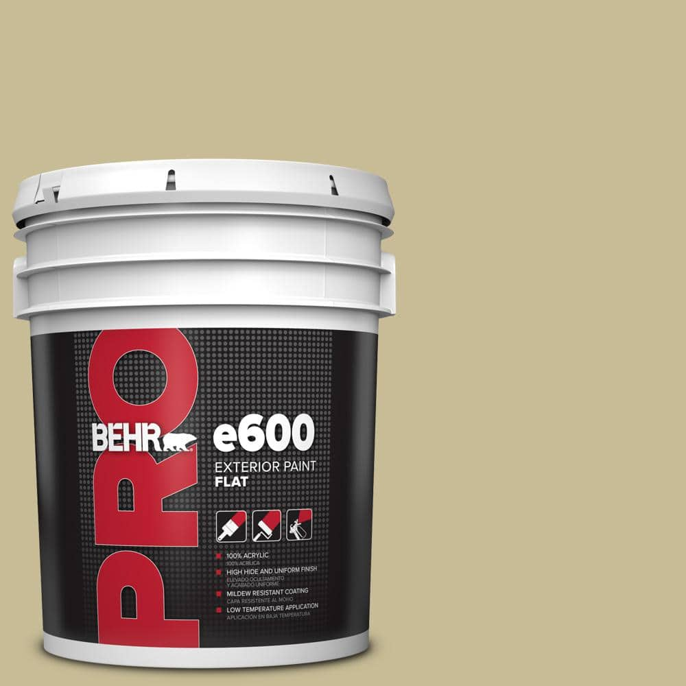 BEHR PRO 5 gal. #PPU8-09 Tea Bag Flat Exterior Paint PR61305 - The Home  Depot