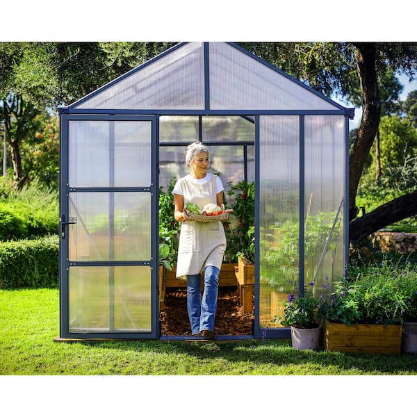 CANOPIA by PALRAM Glory 8 ft. x 16 ft. Gray/Diffused Polycarbonate